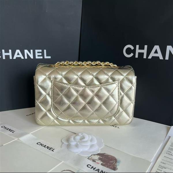 2026127205648688 380